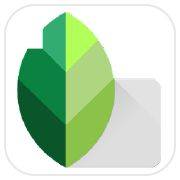 Snapseed Mod Apk Latest Version (For Android)